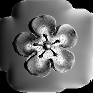 Poutrelbloemen